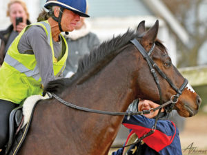 Valerie Ashker and Primitivo crossing the finish line.