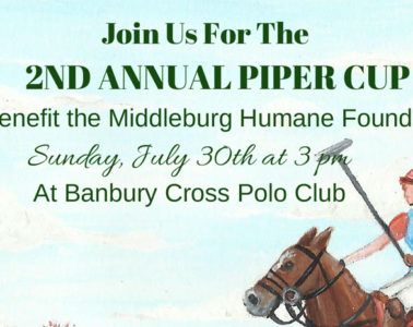 2nd Annual Piper Cup