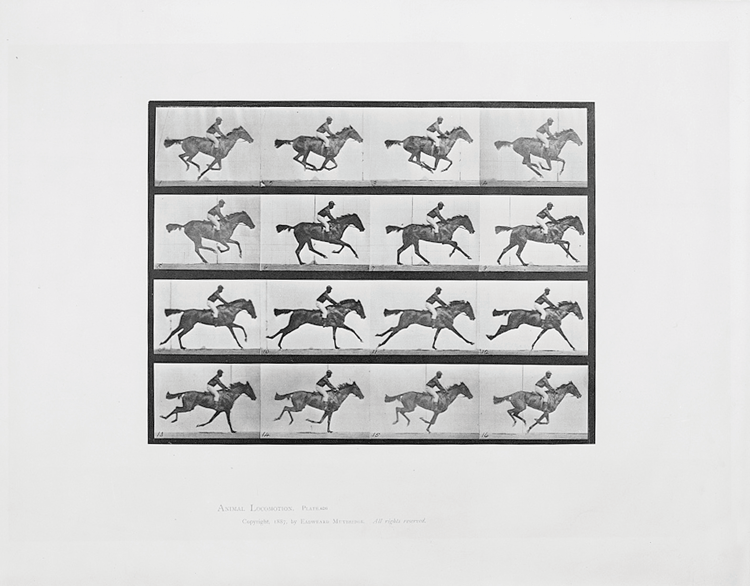 A set of frames from Animal Locomotion featuring the anonymous African American jockey on Annie G