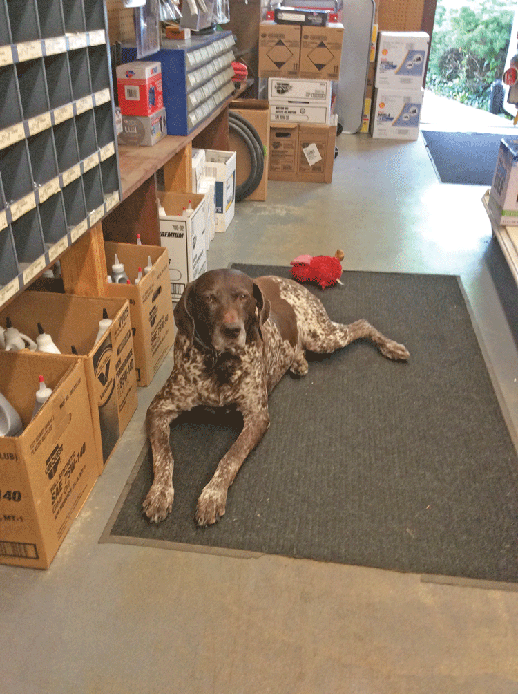 Zoey surveys her shop at Middleburg Auto Parts. Photo by John Deering