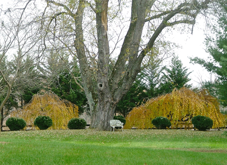 Autumn tranquility.