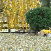 Autumnal contemplation.