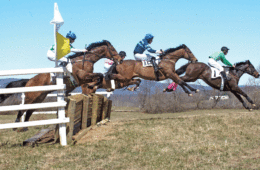 Capturing each stage of the jump at the Piedmont Fox Hounds Point to Point Races.