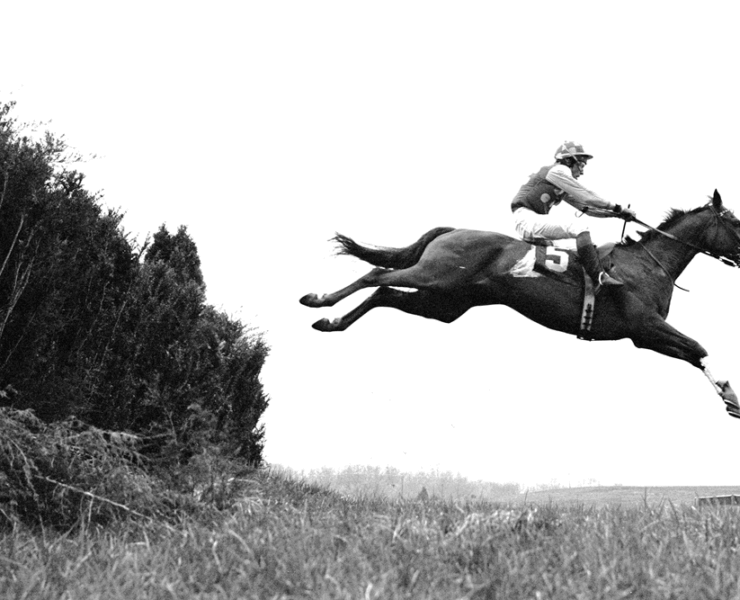 Flying horse with its rider at the Gold Cup.
