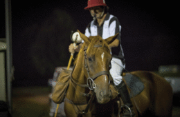 It is often said that the game of polo is 80 percent about the horse. At Twilight Polo, the wellbeing of the horse is always the top priority. Photo by Tony Gibson.