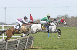 Middleburg Hunt Cup winner Super Saturdays owned by Irvin Naylor, ridden by Gerard Galligan and trained by Katherine Neilson. Photo by Joanne Maisano.