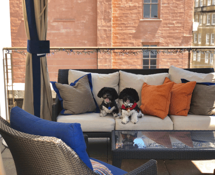When not sipping the NOPSI's famous gin drinks, guests can lounge in a cabana
