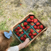 Amelia Moore loved the strawberries