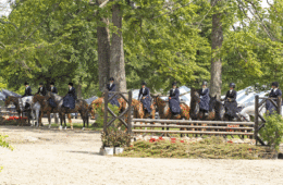 Judging of side saddle class. Beauty and organization was everywhere you looked at UCHS. Photo by Joanne Maisano