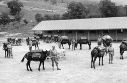 at what is now the Northern Virginia 4-H Education and Conference Center in Front Royal. Photo curtesy of the Army Signal Corps