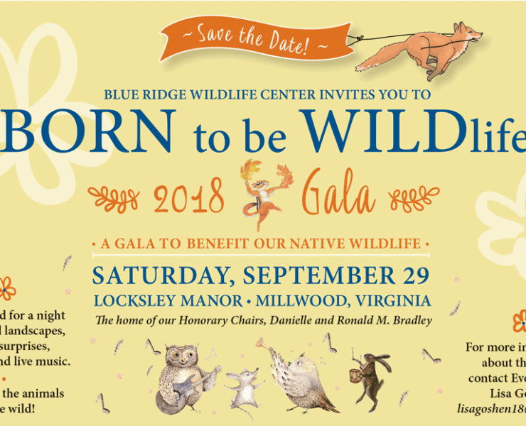 Blue Ridge WildLife Invite