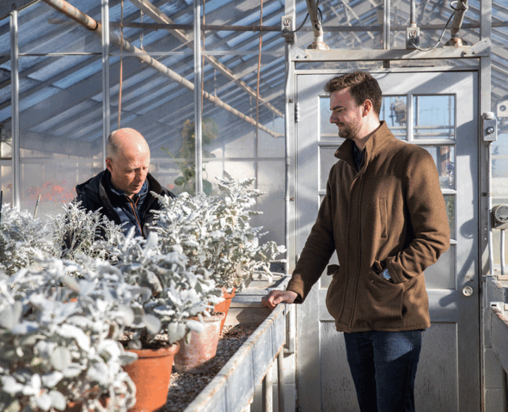 OSFG's Andy Jackson and Max Smith in one of the newly acquired production greenhouses