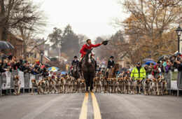 Christmas in Middleburg, Hound review
